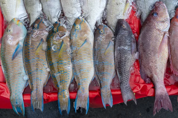 Čerstvé Mořské Ryby Prodej Trhu Potravinami Ulici Kota Kinabalu Ostrov — Stock fotografie