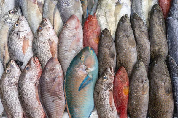 Pescado Mar Fresco Venta Mercado Alimentos Callejeros Kota Kinabalu Isla —  Fotos de Stock