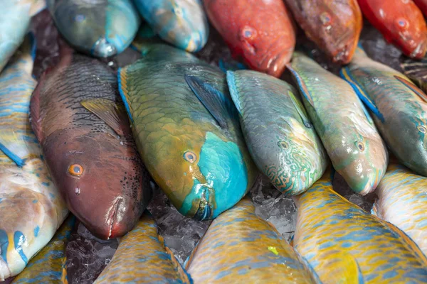 Färsk Havsfisk Till Salu Gatumarknaden Kota Kinabalu Borneo Malaysia Nära — Stockfoto