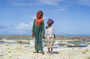 Zanzibar, Tanzanya - Aralık 02, 2019: Afrikalı çocuklar Zanzibar, Tanzanya, Doğu Afrika kıyılarında yumuşakça topluyorlar