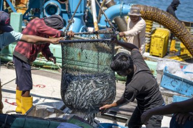 Kota Kinabalu, Malezya - 25 Şubat 2020: Malezyalı balıkçılar taze avlanan balıkları bir gemiden Kota Kinabalu, Sabah, Malezya 'daki sokak filipin pazarındaki plastik konteynırlara yüklüyorlar