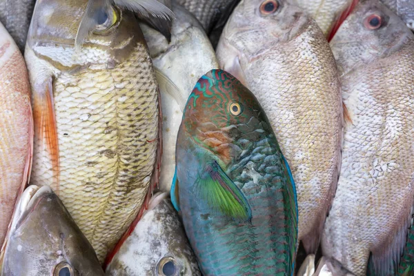 新鮮な海の魚は コタキナバル 島ボルネオ マレーシアのストリートフード市場で販売し シーフードを閉じます — ストック写真