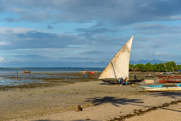 Zanzibar Tanzania Listopad 2019 Żeglarstwo Przypływowe Wybrzeżu Oceanu Indyjskiego Wyspie — Zdjęcie stockowe