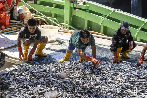 Kota Kinabalu Malesia Febbraio 2020 Lavoratori Malesi Selezionano Catture Pesce — Foto Stock
