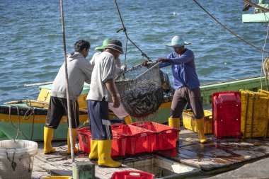 Kota Kinabalu, Malezya - 25 Şubat 2020: Malezyalı balıkçılar taze avlanan balıkları bir gemiden Kota Kinabalu, Sabah, Malezya 'daki sokak filipin pazarındaki plastik konteynırlara yüklüyorlar