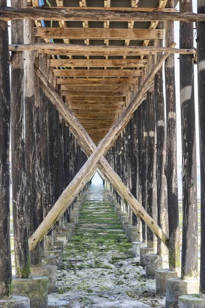 Timber Piles Wooden Bridge Close Ocean Low Tide Coast Island — Stock Photo, Image