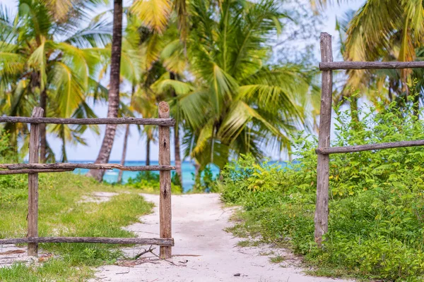Houten Hek Kokospalmen Pad Een Tropisch Strand Bij Zee Het — Stockfoto