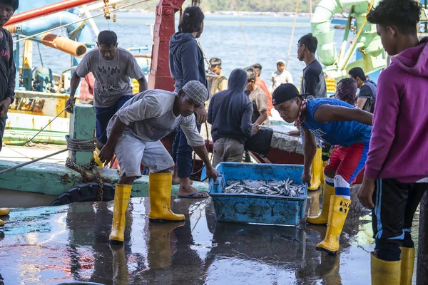 Kota Kinabalu Μαλαισία Φεβρουαρίου 2020 Μαλαισιανοί Αλιείς Φορτώνουν Ψάρια Που — Φωτογραφία Αρχείου