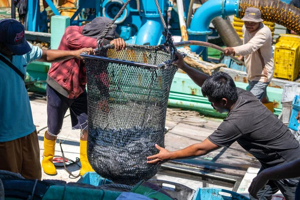 Kota Kinabalu Malaysia February 2020 Malaysian Fishermen Load Freshly Caught — Stock Photo, Image