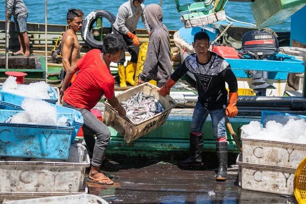 Kota Kinabalu Μαλαισία Φεβρουαρίου 2020 Μαλαισιανοί Αλιείς Φορτώνουν Ψάρια Που — Φωτογραφία Αρχείου