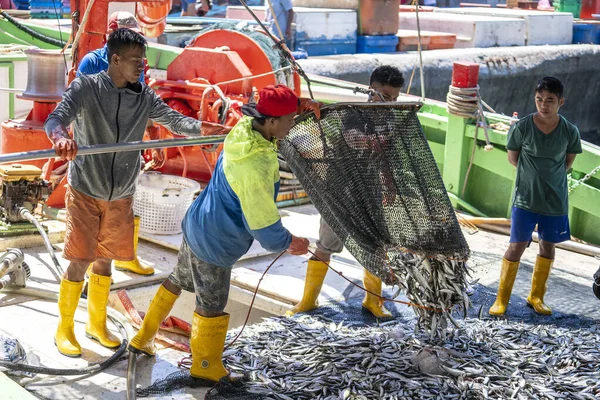 Kota Kinabalu Malesia Febbraio 2020 Pescatori Malesi Caricano Pesce Appena — Foto Stock