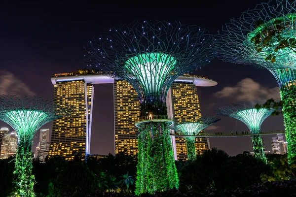 Singapur Singapur Luty 2020 Hotel Marina Bay Sands Kolorowe Superdrzewa — Zdjęcie stockowe