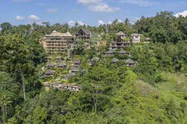 BALI, INDONEZYA - Mart 02, 2019: Orman, tropikal yağmur ormanı ve dağlar, Ubud, ada Bali, Endonezya panoramik manzaralı geleneksel Bali evleri