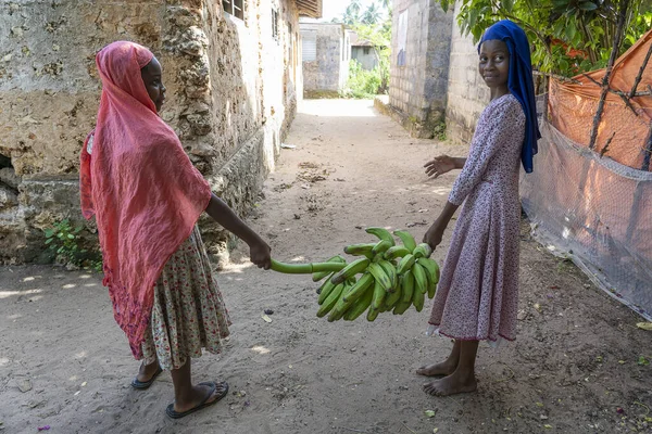 Zanzibar Τανζανία Νοεμβρίου 2019 Άγνωστα Δύο Νεαρά Κορίτσια Από Την — Φωτογραφία Αρχείου