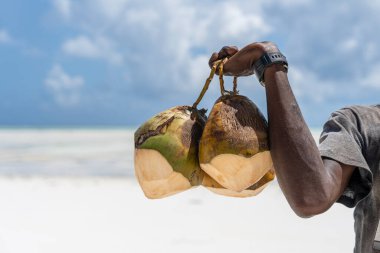 Afrikalı adam, Zanzibar, Tanzanya, Zanzibar adası, Tanzanya, Doğu Afrika 'ya yakın kumsalda turistler için taze hindistan cevizi tutuyor.