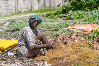 Zanzibar, Tanzanya - 11 Kasım 2019: Afrikalı yaşlı kadın Zanzibar, Tanzanya, Doğu Afrika 'da daha fazla işlem için deniz yosunu ayıklıyor.