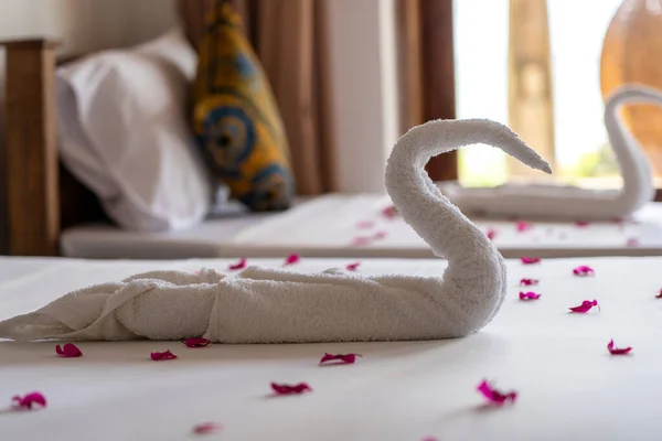 非洲桑给巴尔岛上美丽的天鹅 床上装饰着洁白的浴巾 酒店的亲切问候 — 图库照片