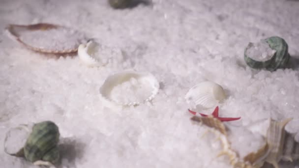 慢动作模式白色的海盐和贝壳 — 图库视频影像