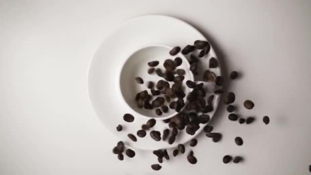 Coffee beans fall into a cup slow mo — Stock Video