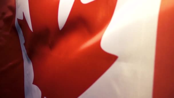 La bandiera canadese sventola e cade. Rallentatore — Video Stock