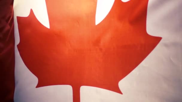 Die Nationalflagge Kanadas wiegt sich langsam im Wind. — Stockvideo