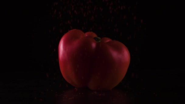 Red paprika on the table sprinkled with powder. Slow mo — Stock Video