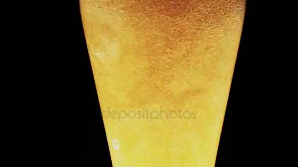 Schiuma di birra splendidamente versata sul bordo del vetro — Video Stock