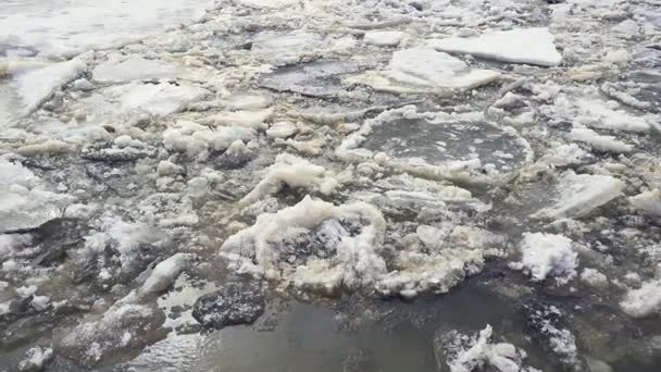 Hielo se derrite en el río en la primavera — Vídeos de Stock