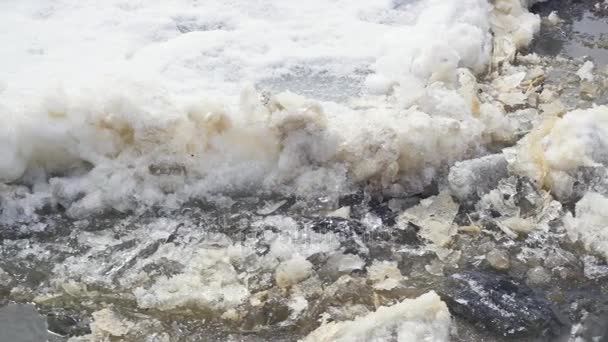 Gelo derretido se move ao longo do rio — Vídeo de Stock