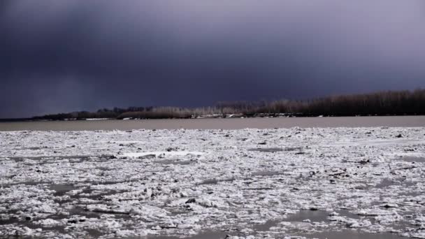 River Ob. Desvio de gelo para a Sibéria — Vídeo de Stock
