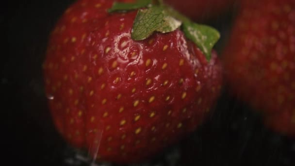 Slow-motion. Ondiepe, bijna onzichtbare dalingen van water op een aardbei — Stockvideo