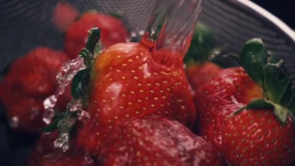 Erdbeere im Sieb wird gewaschen. Zeitlupe — Stockvideo