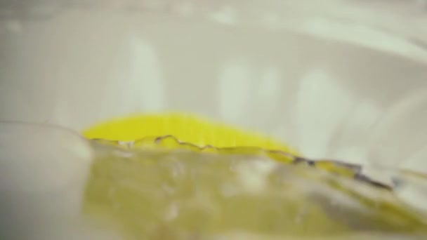 Más despacio. Una rebanada de limón cae al agua — Vídeo de stock