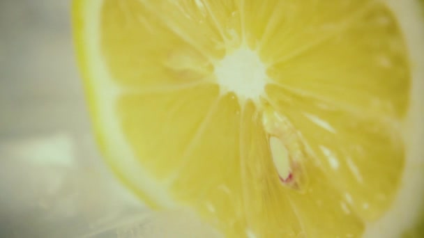 Vers schijfje citroen in water. Slow motion — Stockvideo