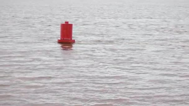 Boya roja gira en el río — Vídeo de stock