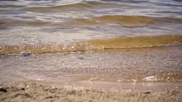 Des vagues de rivière ou de lac roulent à terre. Mouvement lent — Video