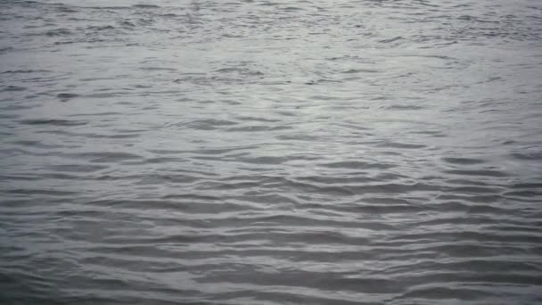 Ralentissez. Ondulations peu profondes à la surface de l'eau 