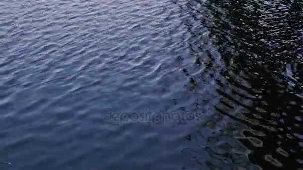 Trochu vzrušení na povrchu temné vody — Stock video