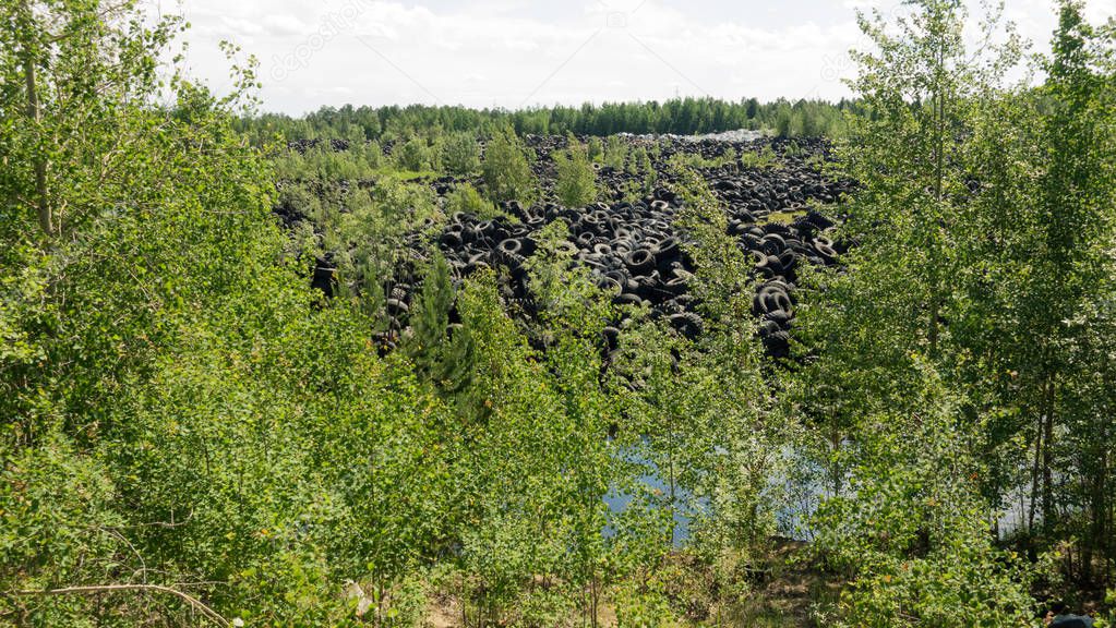 Forest damaged by illegal landfills