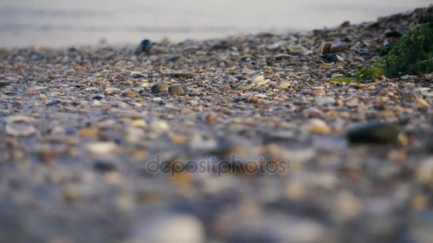 波涛滚滚的沙滩上 — 图库视频影像