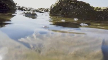 Denizin içinde buzlu su üzerinde yavaş hareket görünümü