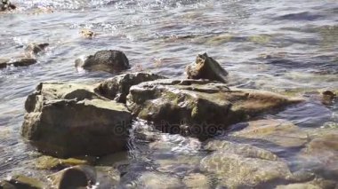 Yavaş mo taşlı sahilde dalgaların rulo