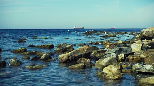 在地平线上的岩石上的海鸥在着近岸锚地的船舶 — 图库视频影像