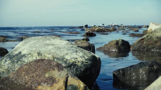 Lento movimento grande pedra na água junto ao mar — Vídeo de Stock