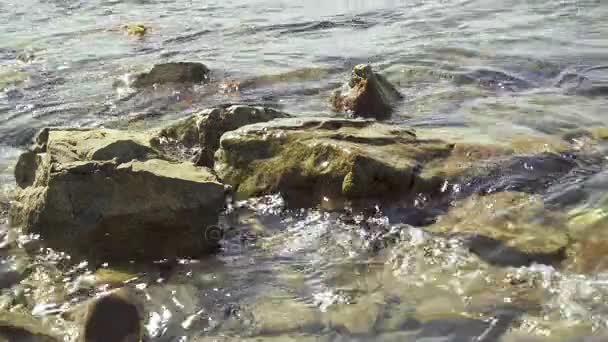 Piccole onde rotolano sulle rocce sulla riva — Video Stock