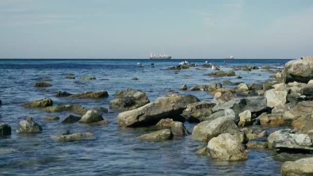 Lugna havet på klipporna i måsar och fartyg — Stockvideo