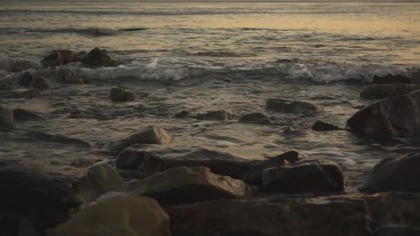 Ondes du soir sur une surface d'eau au ralenti 