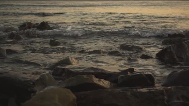 Las olas de la tarde en la superficie del agua la cámara lenta — Vídeos de Stock