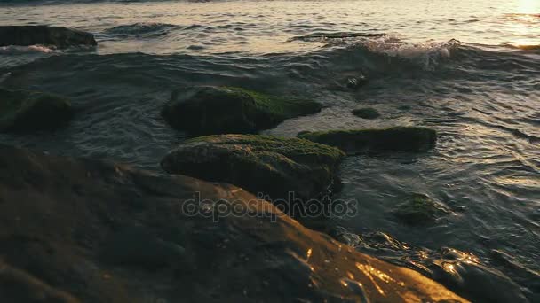 Movimiento lento en las rocas en rollos de algas marinas ola — Vídeo de stock