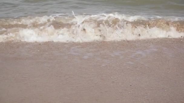 Pequeñas olas en cámara lenta en una playa de arena — Vídeo de stock